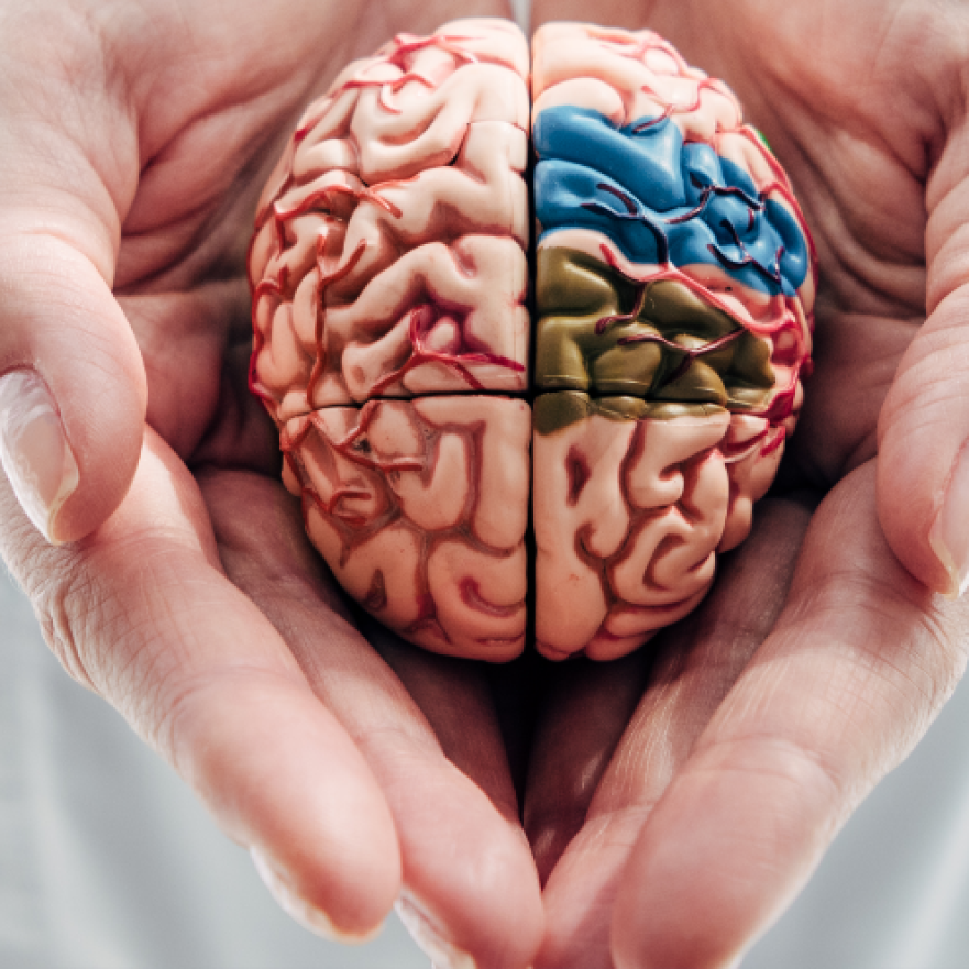 Psychologie im Ausland studieren