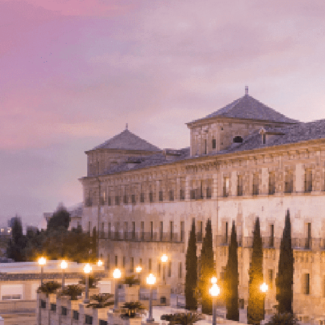 Universidad Católica San Antonio De Murcia Universidad Católica San Antonio de Murcia (UCAM)