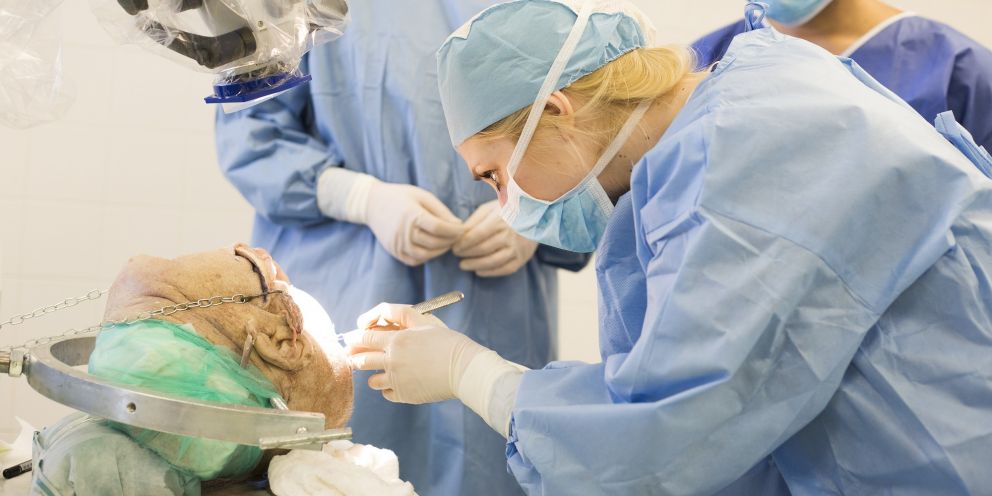 Neurochirurgen-Anatomiekurse an der Masaryk University