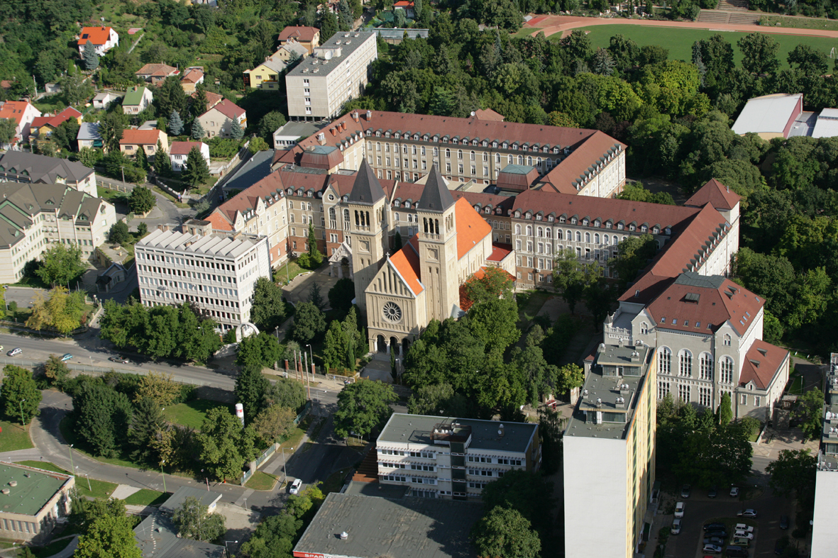 Medizinstudium auf Deutsch oder Englisch in Pécs, Ungarn