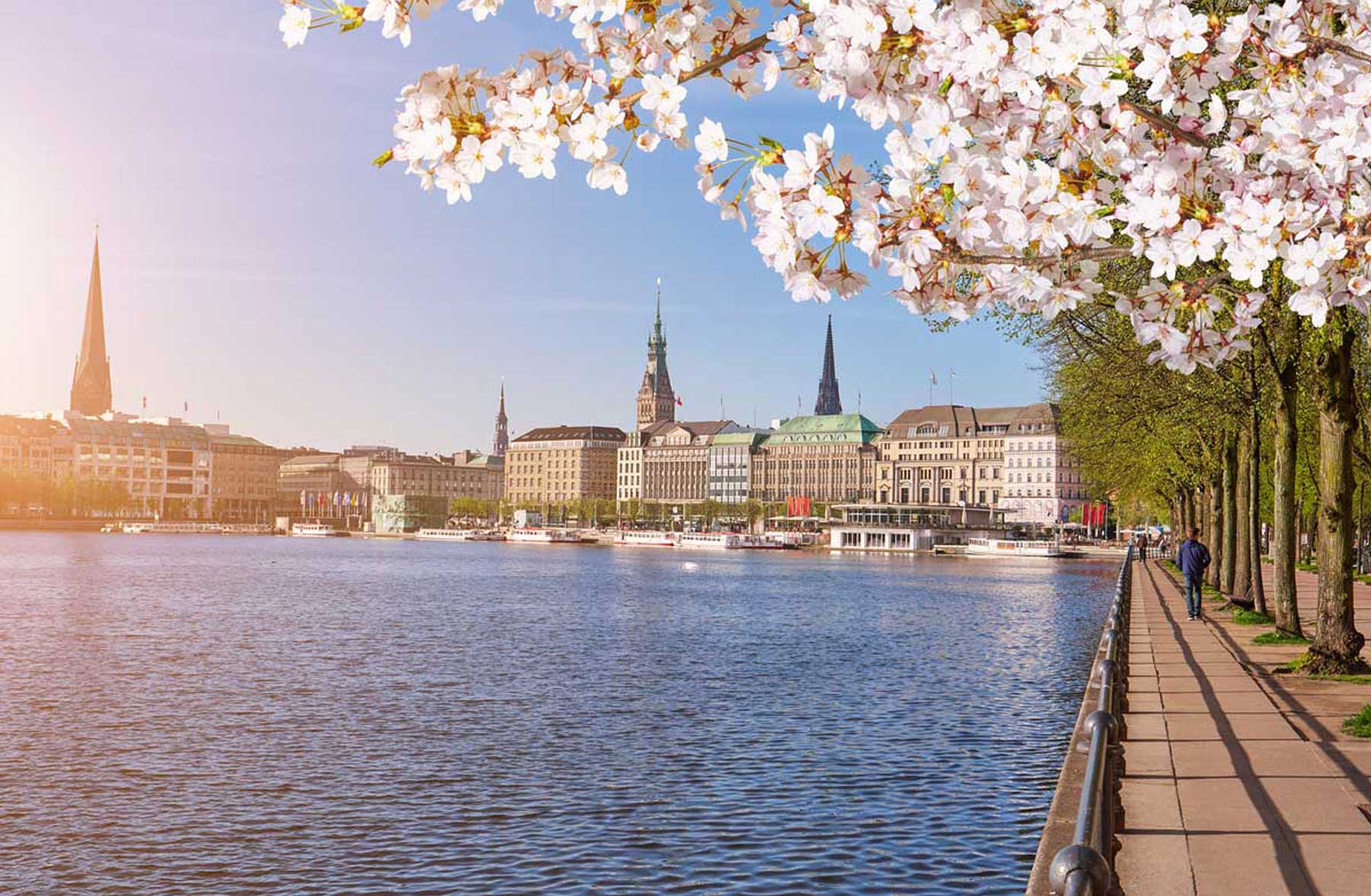 Die Stadt  Hamburg  MSA Medizinstudium im Ausland